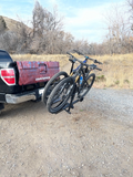 Bike Rack, Economy